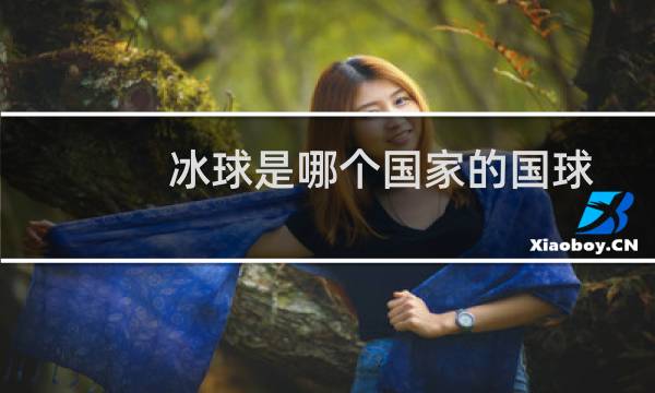 冰球是哪个国家的国球图片