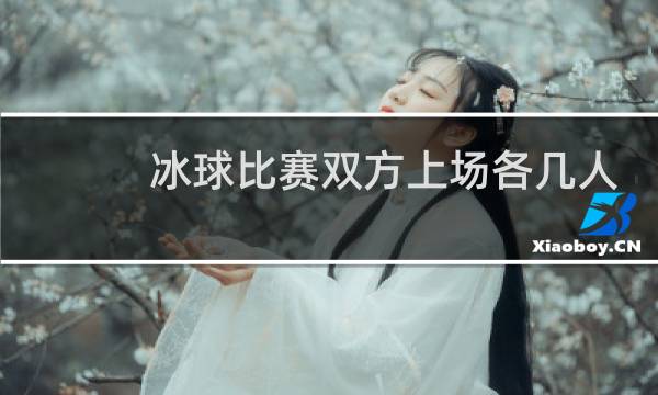 冰球比赛双方上场各几人图片