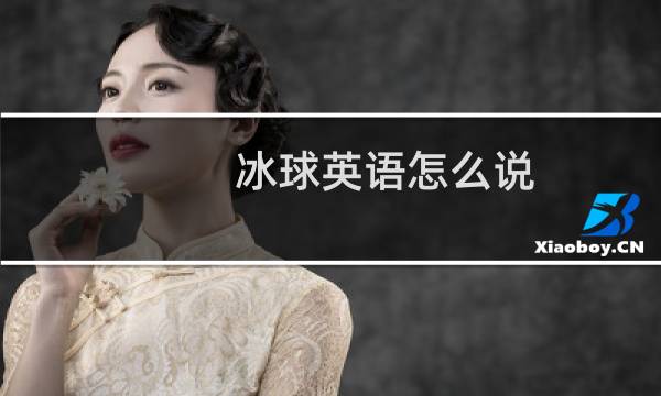 冰球英语怎么说图片