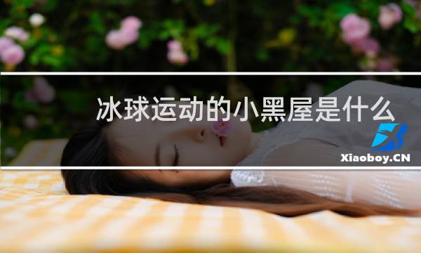 冰球运动的小黑屋是什么图片