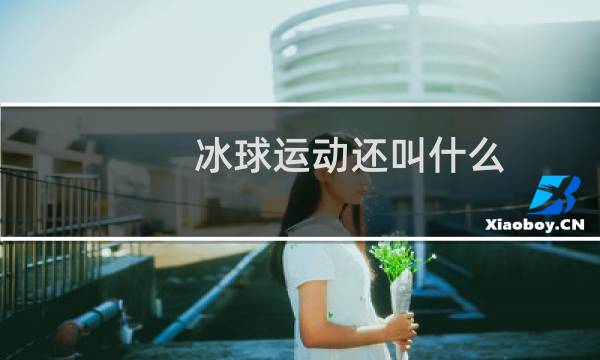 冰球运动还叫什么图片