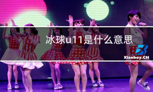 冰球u11是什么意思图片