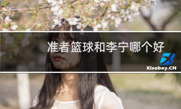 准者篮球和李宁哪个好图片