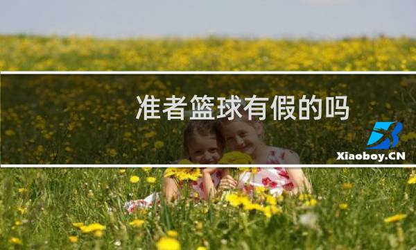 准者篮球有假的吗图片