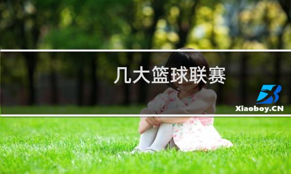几大篮球联赛图片