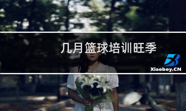 几月篮球培训旺季图片