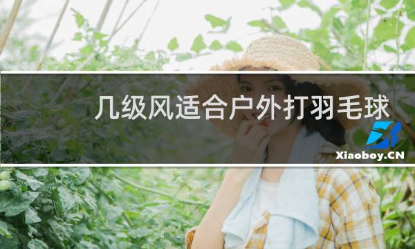 几级风适合户外打羽毛球图片
