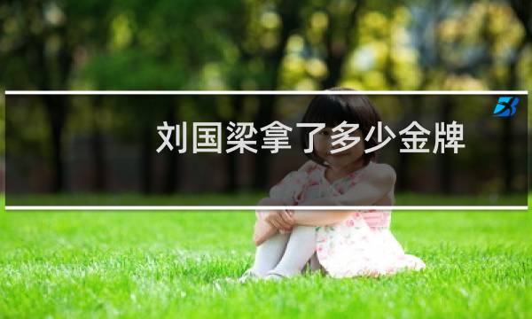 刘国梁拿了多少金牌图片