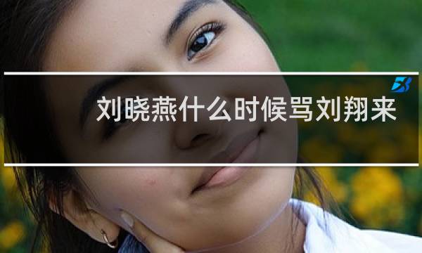 刘晓燕什么时候骂刘翔来图片