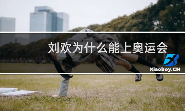 刘欢为什么能上奥运会图片