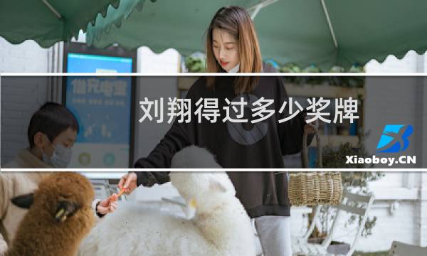 刘翔得过多少奖牌图片
