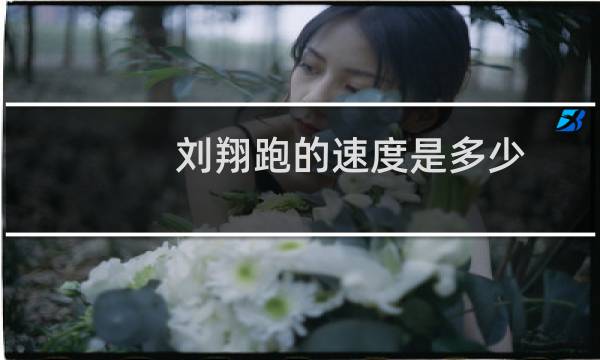 刘翔跑的速度是多少图片