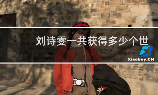 刘诗雯一共获得多少个世界冠军图片