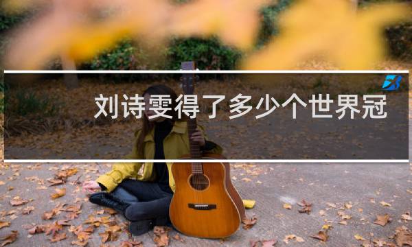 刘诗雯得了多少个世界冠军图片