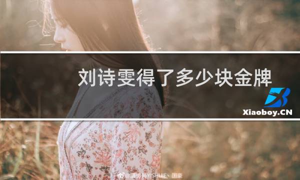 刘诗雯得了多少块金牌图片