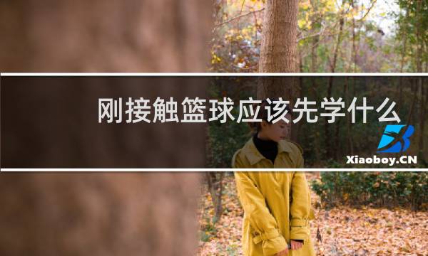 刚接触篮球应该先学什么图片