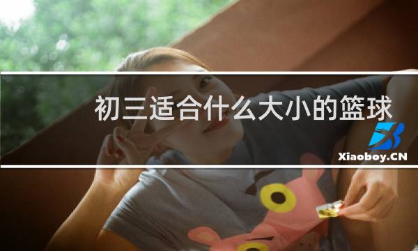初三适合什么大小的篮球图片