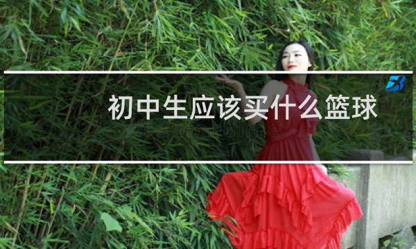 初中生应该买什么篮球图片