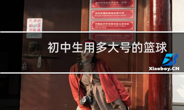 初中生用多大号的篮球图片