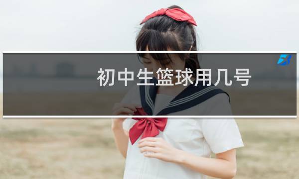 初中生篮球用几号图片