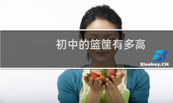 初中的篮筐有多高图片