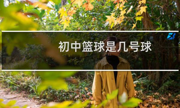 初中篮球是几号球图片