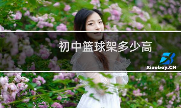 初中篮球架多少高图片