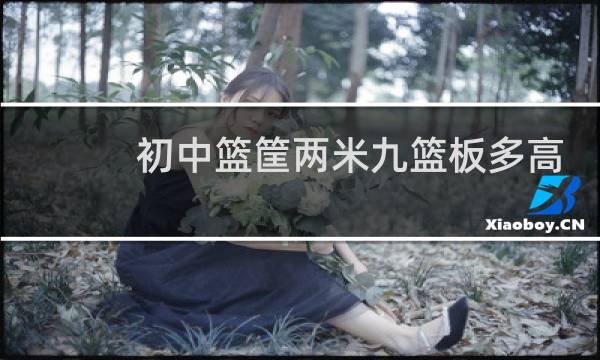 初中篮筐两米九篮板多高图片