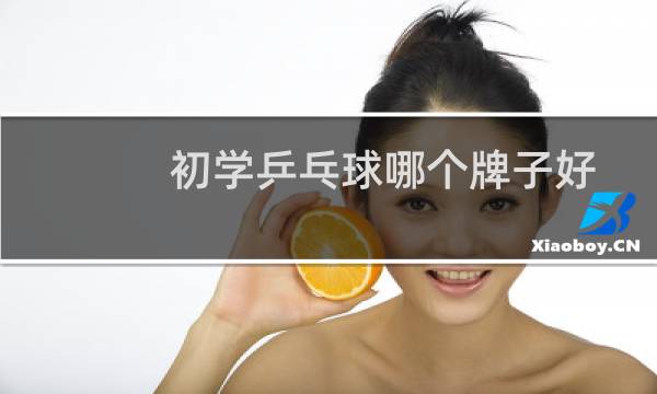 初学乒乓球哪个牌子好图片