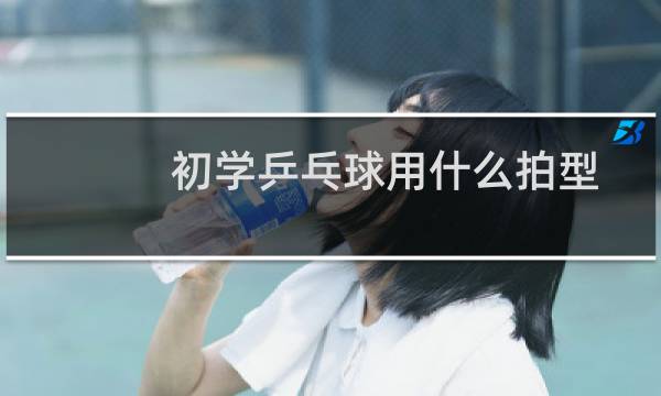 初学乒乓球用什么拍型图片