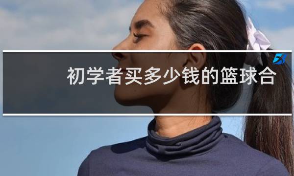 初学者买多少钱的篮球合适图片