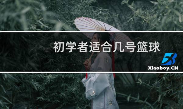 初学者适合几号篮球图片