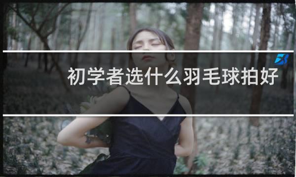 初学者选什么羽毛球拍好图片
