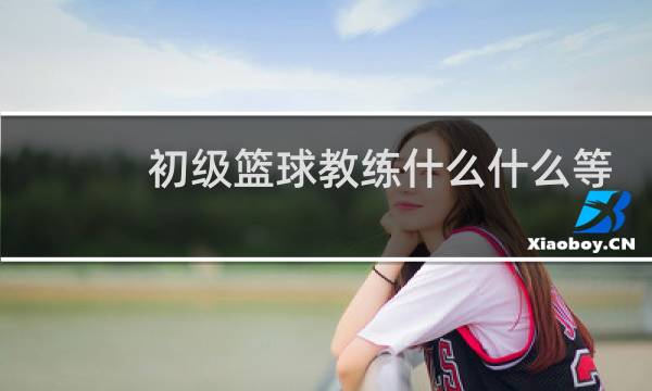 初级篮球教练什么什么等级图片