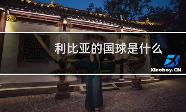 利比亚的国球是什么图片