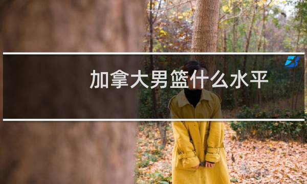 加拿大男篮什么水平图片