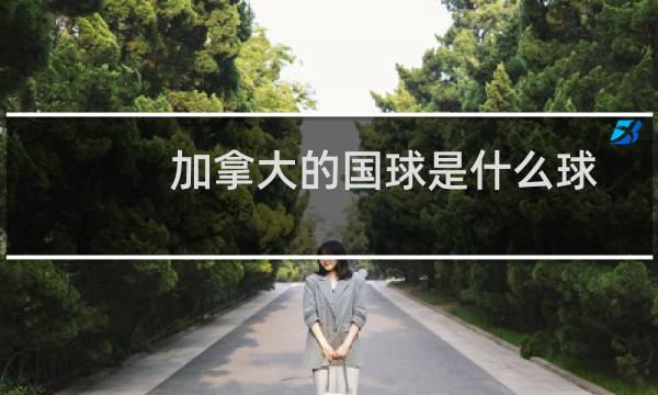 加拿大的国球是什么球图片