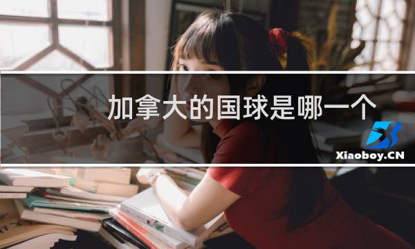 加拿大的国球是哪一个图片