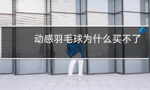 动感羽毛球为什么买不了时装图片