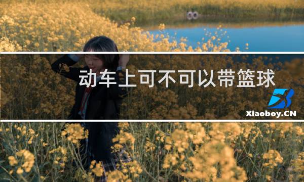 动车上可不可以带篮球图片