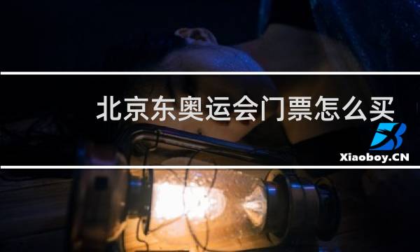 北京东奥运会门票怎么买图片