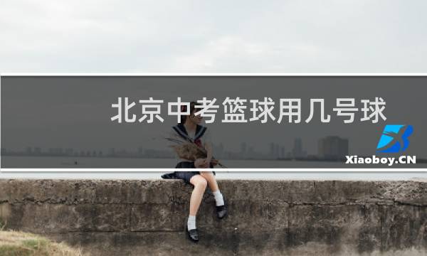 北京中考篮球用几号球图片
