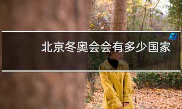 北京冬奥会会有多少国家去图片