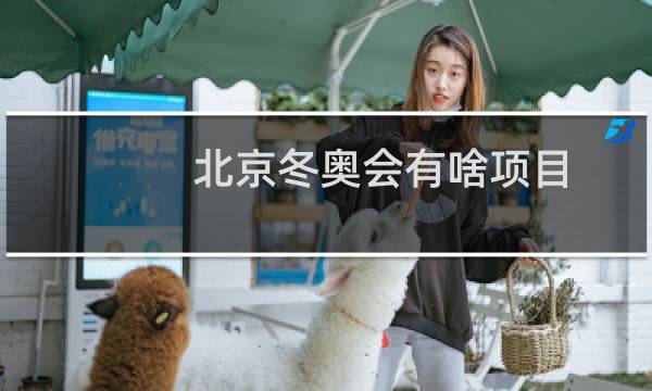 北京冬奥会有啥项目图片