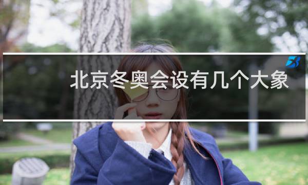北京冬奥会设有几个大象图片