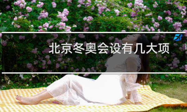 北京冬奥会设有几大项图片