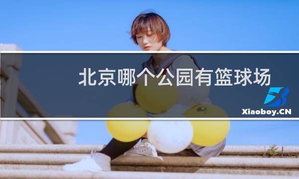 北京哪个公园有篮球场图片