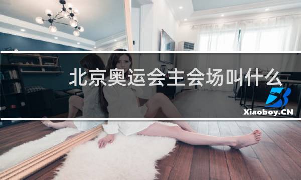 北京奥运会主会场叫什么图片