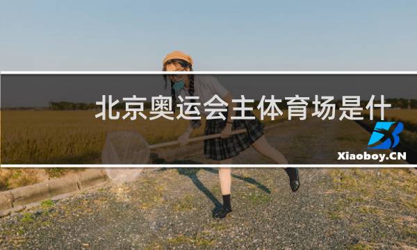 北京奥运会主体育场是什么图片