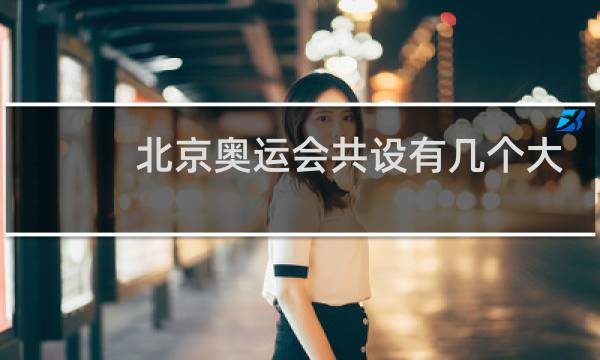 北京奥运会共设有几个大项目图片